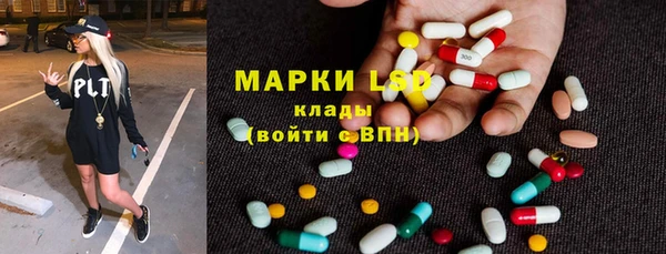 дмт Алзамай