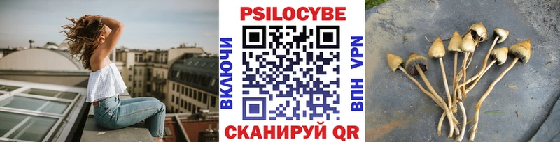 Псилоцибиновые грибы Cubensis  Алейск 