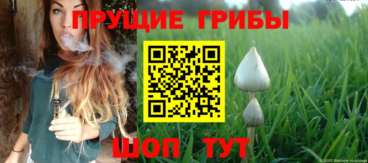 Галлюциногенные грибы мухоморы  где купить   Алейск  Вход с VPN  Галлюциногенные грибы прущие грибы 