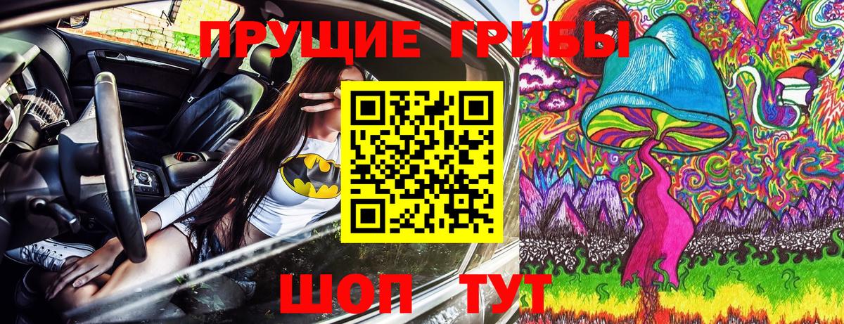 купить закладку  Алейск  Псилоцибиновые грибы GOLDEN TEACHER 