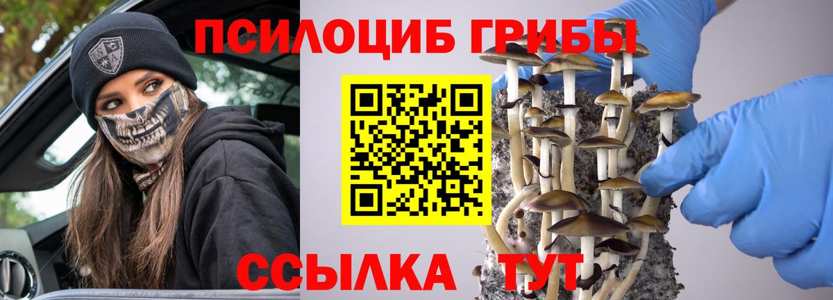 Псилоцибиновые грибы Magic Shrooms Алейск